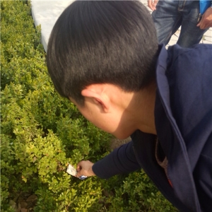 传承雷锋精神,弘扬志愿服务-----信息商务部15旅游雷锋月活动