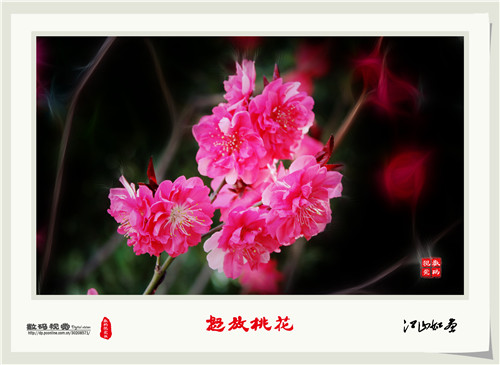 郭战彬老师PS优秀作品欣赏------”怒放的桃花“