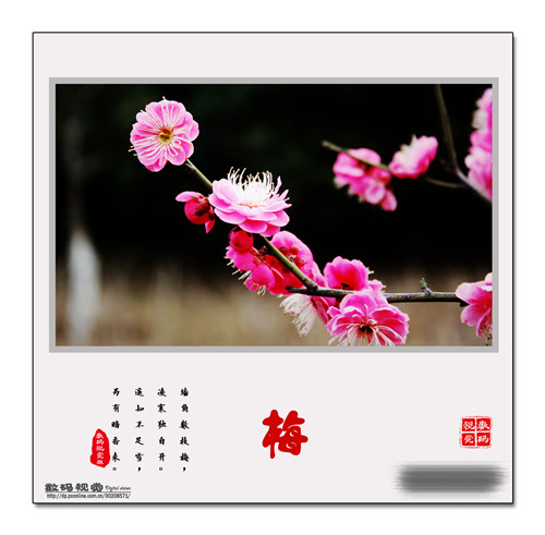 郭战彬老师PS优秀作品欣赏------“梅”