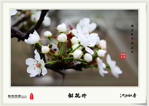 郭战彬老师PS优秀作品欣赏------“千树万树梨花开”
