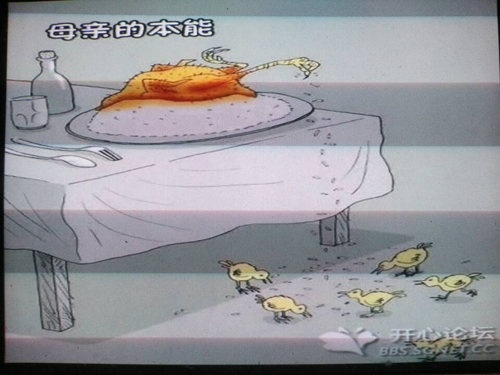 (14计算机1班) “感恩母爱”主题班会